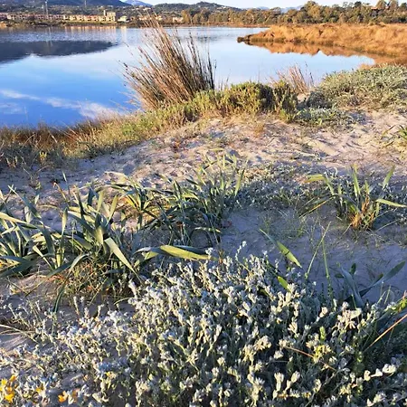 Guest house Vida Murta Maria